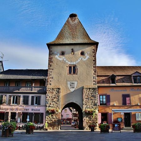 Gite "Le Cosy" Turckheim Exterior foto