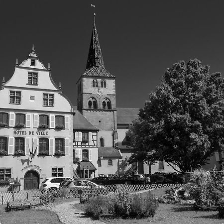Gite "Le Cosy" Turckheim Exterior foto