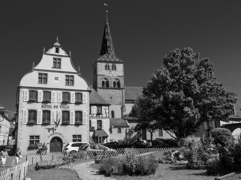 Gite "Le Cosy" Turckheim Exterior foto